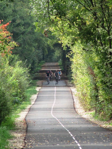 En Forêt de Champenoux, la branche vers l'INRA de Champenoux