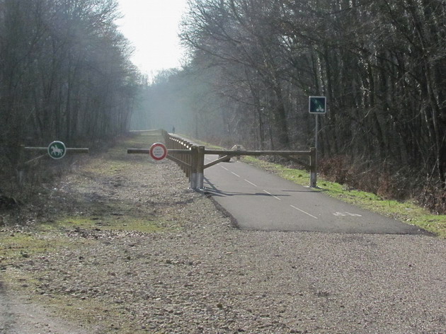 Fin provisoire de la voie verte en forêt de Champenoux