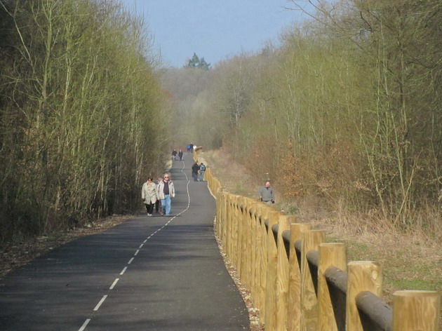 Forêt de Champenoux
